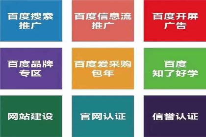 SEM广告投放策略：成功案例解析